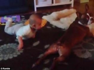 Φωτογραφία για ΛΙΩΣΑΜΕ - Δείτε το σκύλο που μαθαίνει κόλπα στο μωρό! [video]