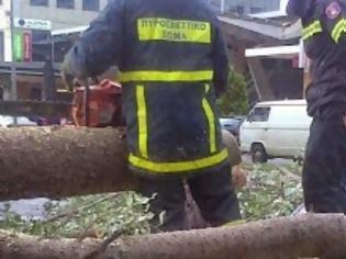 Φωτογραφία για Χαμός από την κακοκαιρία στην Καστοριά: Δέντρο καταπλάκωσε αυτοκίνητα και δρόμοι πλημμύρισαν