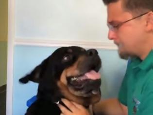 Φωτογραφία για Βίντεο που θα σου ραγίσει την καρδιά: Αυτός ο σκύλος ξανασυναντά τον ιδιοκτήτη του μετά από 8 χρόνια! [video]