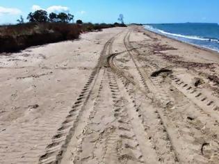 Φωτογραφία για Έκκληση: Μην οδηγείτε στις παραλίες και αμμόλοφους του Πάρκου Κοτυχίου-Στροφυλιάς, κυκλοφορούν χελώνες