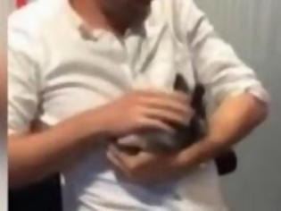 Φωτογραφία για ΣΟΚ! Ραδιοφωνικός παραγωγός σκότωσε κουνέλι ''στον αέρα'' και μετά το έφαγε... [video]