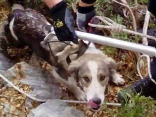 Φωτογραφία για Δυτική Ελλάδα: Καρέ καρέ οι συγκλονιστικές προσπάθειες της ΕΜΑΚ για να σώσει σκύλο που είχε εγκλωβιστεί σε γκρεμό!