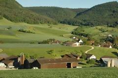 Η Ελβετία ψάχνει αγρότες - Δίνει μισθό 3.000 ευρώ το μήνα