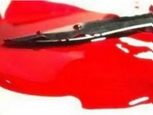 Φωτογραφία για Άγριο έγκλημα στην Αργολίδα: Σκότωσε τη 33χρονη σύζυγό του
