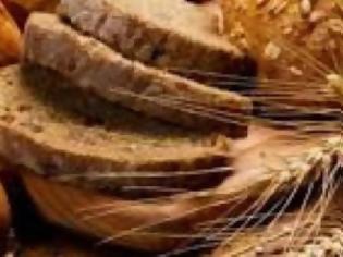 Φωτογραφία για ΑΠΘ: Πώς ήταν το ψωμί της νεολιθικής εποχής;