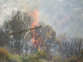 Φωτογραφία για Ο απολογισμός της Πυροσβεστικής για την χθεσινή πυρκαγιά στον Προφήτη Ηλία Μυτιλήνης- 100 στρέμματα έγιναν στάχτη