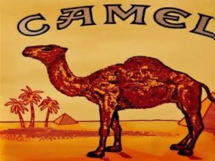 Φωτογραφία για Αλήθεια, τι κρύβει η καμήλα στα τσιγάρα Camel; [video]