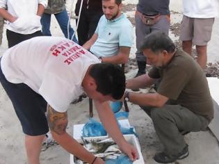 Φωτογραφία για Ξενύχτησαν πλάι στη θάλασσα και μάζεψαν ψάρια για το Ψυχολογικό Κέντρο της Ξάνθης