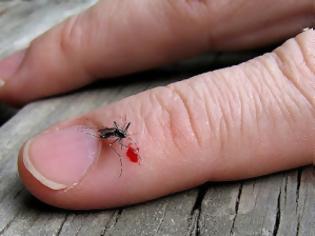 Φωτογραφία για Έχετε κουνούπια; Με αυτό το εύκολο τρικ θα τα ξεφορτωθείτε μία και καλή [video]