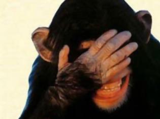 Φωτογραφία για Τι έπαθε όταν έδειξε το μεσαίο δάχτυλο σε μια μαϊμού; [video]