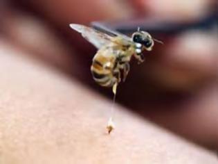 Φωτογραφία για Άνδρας επέζησε έπειτα από εκατοντάδες τσιμπήματα μελισσών