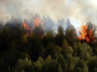 Φωτογραφία για Φωτιά στη Φασκομηλιά Ηλείας - Καίγεται δασική έκταση