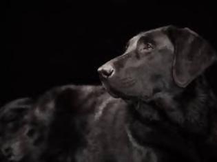 Φωτογραφία για Black dog: Εσείς τι γνωρίζετε για το σύνδρομο του μαύρου σκύλου;