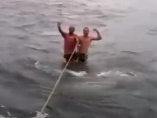 Φωτογραφία για ΑΠΙΣΤΕΥΤΟ: Δύο άνδρες κάνουν σέρφινγκ... στην πλάτη φαλαινοκαρχαρία [video]