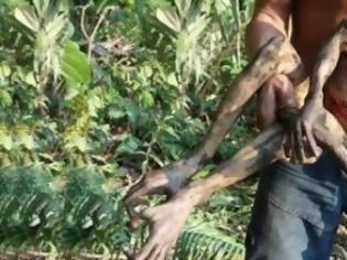 Φωτογραφία για Σοκαριστικό: Μυστηριώδες πλάσμα βρέθηκε νεκρό στον Αμαζόνιο και προκαλεί ΦΟΒΟ [video]
