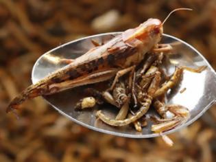 Φωτογραφία για 7 λόγοι για να αρχίσουμε να τρώμε… έντομα