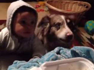 Φωτογραφία για ΓΕΛΑΣΤΕ: Ο σκύλος λέει μαμά για να φάει και το μωράκι δεν μπορεί - [video]