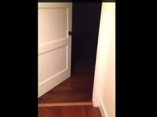 Φωτογραφία για Δείτε πως αντίκρισαν τον σκύλο τους μπαίνοντας στην σκοτεινή κρεβατοκάμαρα….  [video]
