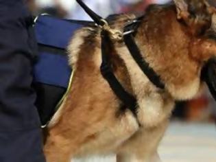 Φωτογραφία για Σκύλος ξετρύπωσε 2 τόνους κοκαΐνης στην Κολομβία
