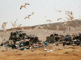 Φωτογραφία για Σε κατάσταση εκτάκτου ανάγκης ο Πύργος για τα σκουπίδια