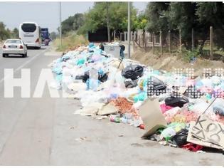 Φωτογραφία για Ο Πύργος καθάρισε, η Εθνική Οδός Πατρών – Πύργου και Πύργου – Τριπόλεως όμως... βρωμάει