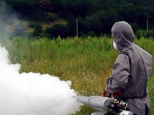 Φωτογραφία για Ξεκίνησαν οι ψεκασμοί για τα κουνούπια σε Κύμινα, Μάλγαρα και Ανατολικό