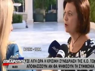 Φωτογραφία για Χρυσοβελώνη: Οι βουλευτές των ΑΝΕΛ ενεργούν με γνώμονα τo συμφέρον της χώρας [video]