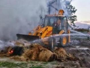 Φωτογραφία για Φωτιά σε κτηνοτροφική μονάδα στην Σμίνθη της Ξάνθης