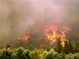Φωτογραφία για Δυτική Ελλάδα: Στο κόκκινο αύριο για εκδήλωση πυρκαγιών Αχαΐα και Ηλεία