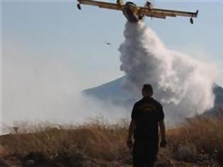 Φωτογραφία για Στη μάχη με τις φλόγες τα αεροσκάφη με το πρώτο φως της ημέρας - Δύσκολη νύχτα σε Λακωνία, Καρέα και Μαλακάσα