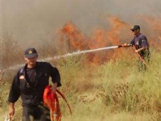 Φωτογραφία για Δυτική Ελλάδα: Μεγάλη πυρκαγιά στην θέση Μέλισσα του Δήμου Λεχαινών