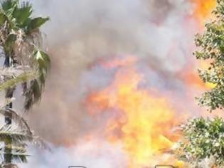 Φωτογραφία για Μεγάλη φωτιά στο Καλαμίτσι στην Πρέβεζα