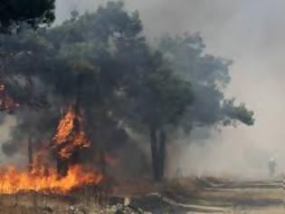 Φωτογραφία για H εικόνα συγκλονίζει: Ένας παπάς πυροσβέστης στην Αργολίδα - Μάχη με τις φλόγες, με ράσο [photo]