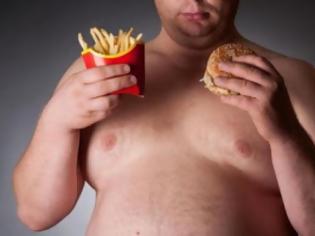 Φωτογραφία για Το junk food επηρεάζει αρνητικά και τη μνήμη
