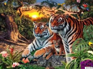 Φωτογραφία για Πάτε στοίχημα ότι δε μπορείτε να βρείτε πόσες τίγρεις υπάρχουν στη φωτογραφία;