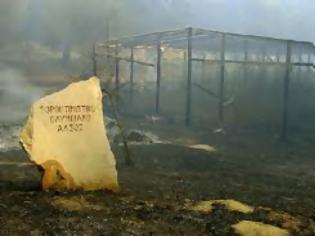 Φωτογραφία για Απειλείται και πάλι σε ενδεχόμενο εκδήλωσης πυρκαγιάς ο Αρχαιολογικός χώρος της Ολυμπίας