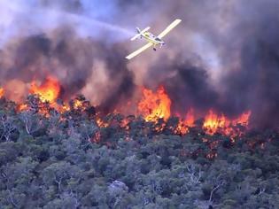 Φωτογραφία για Tώρα: Μεγάλη φωτιά στο δάσος της Στροφυλιάς στο Κουνουπελάκι - Επιχειρούν δύο καναντέρ - Απομακρύνουν τους λουόμενους