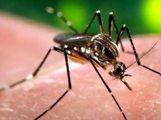 Φωτογραφία για Πάτρα: Πού και πότε θα γίνει ψεκασμός για την καταπολέμιση των κουνουπιών