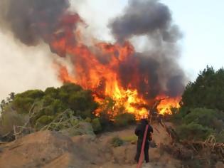 Φωτογραφία για Δυτική Ελλάδα: Οικολογική καταστροφή στη Στροφυλιά - Εφιάλτης το καλοκαίρι για το οικοσύστημα