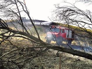 Φωτογραφία για Πάτρα: Φωτιά έκαψε ξερόχορτα στο Άνω Καστρίτσι
