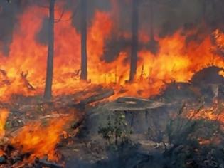 Φωτογραφία για Μεγάλη η καταστροφή στην Εύβοια - Στάχτη πάνω από 5.000 στρέμματα πευκοδάσους