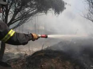 Φωτογραφία για Δύο συλλήψεις για την πυρκαγιά στην Εύβοια