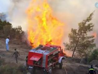 Φωτογραφία για Η εγκατάλειψη ανάβει για μια ακόμη χρονιά τις φωτιές στα δάση