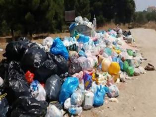 Φωτογραφία για Πύργος: «Βουνά» τα σκουπίδια - «Κραυγή» αγωνίας από τους κατοίκους
