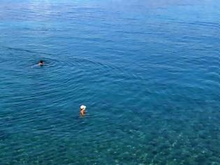Φωτογραφία για Πάτρα: Απαγορεύεται η κολύμβηση σε όλη την περιοχή από Τσαούση μέχρι Κολυμβητήριο Αγυιάς