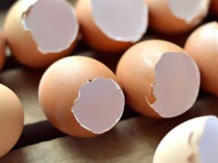 Φωτογραφία για Πετάτε το τσόφλι του αυγού; Μην το κάνετε