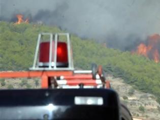Φωτογραφία για Πάτρα: Φωτιά ξέπασε στα Βραχνέικα