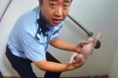 Βρέθηκε νεογέννητο μωρό σε δημόσιες τουαλέτες στο Πεκίνο