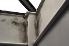 Μούχλα στο σπίτι σας; Πώς μπορεί να αντιμετωπιστεί;