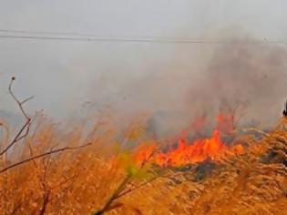 Φωτογραφία για Ποια ΚΑΤΑΡΑ τους κυνηγάει; - Φωτιές και κακοκαιρία στη νότια Ηλεία